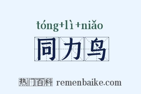 同力鸟是什么意思的图片